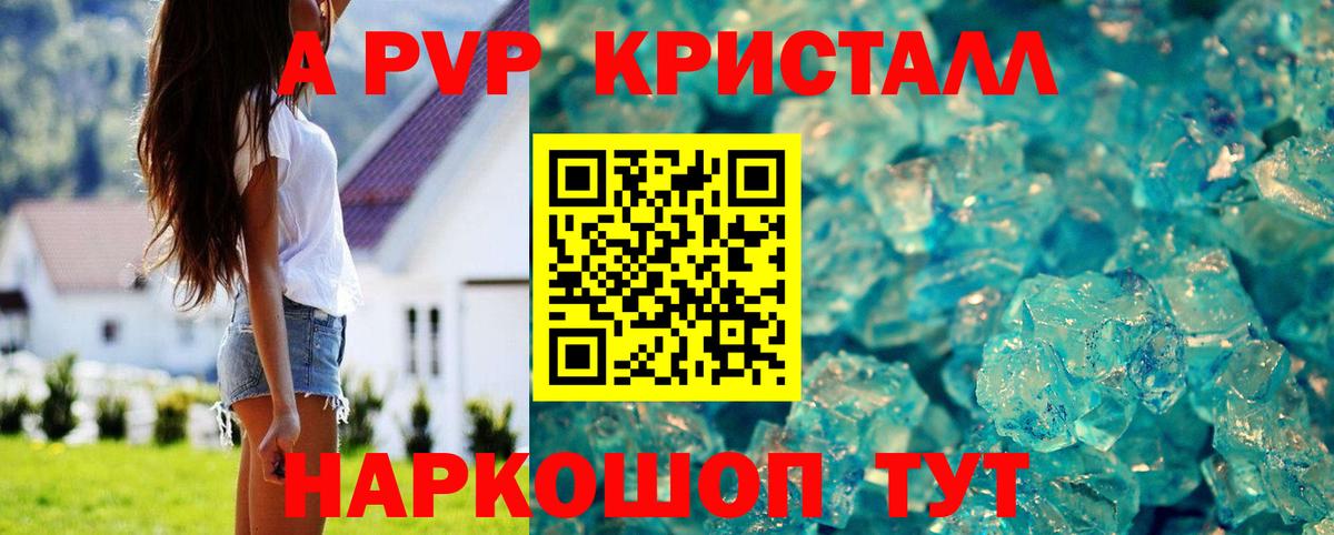 А ПВП СК Кингисепп