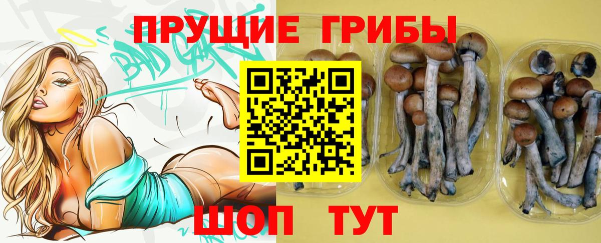 Галлюциногенные грибы мухоморы  Вход с VPN  Псилоцибиновые грибы GOLDEN TEACHER  Кингисепп 