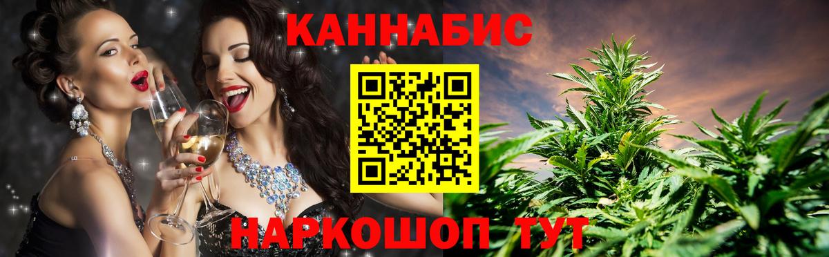 Конопля планчик Кингисепп